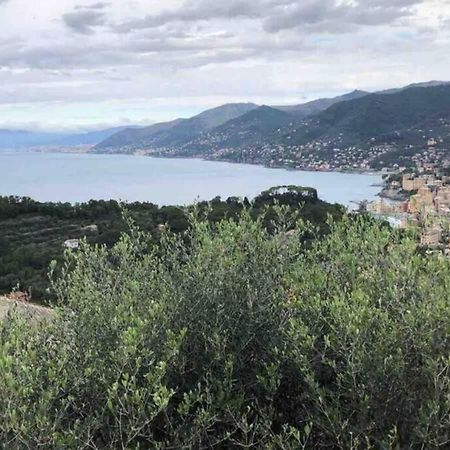 Acqua Marina Leilighet Camogli Eksteriør bilde