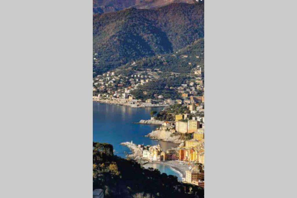 Acqua Marina Leilighet Camogli Eksteriør bilde