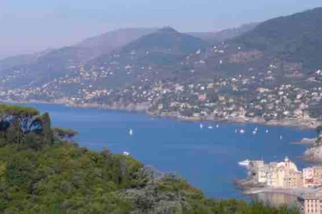 Acqua Marina Leilighet Camogli Eksteriør bilde