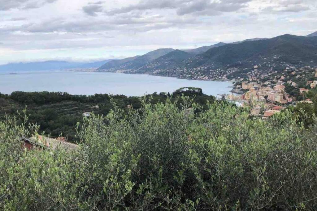 Acqua Marina Leilighet Camogli Eksteriør bilde
